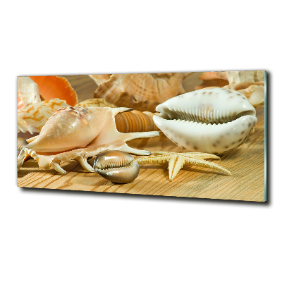 Schilderij op glas Schelpen op hout