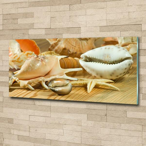 Foto obraz szklany Muszle na drewnie