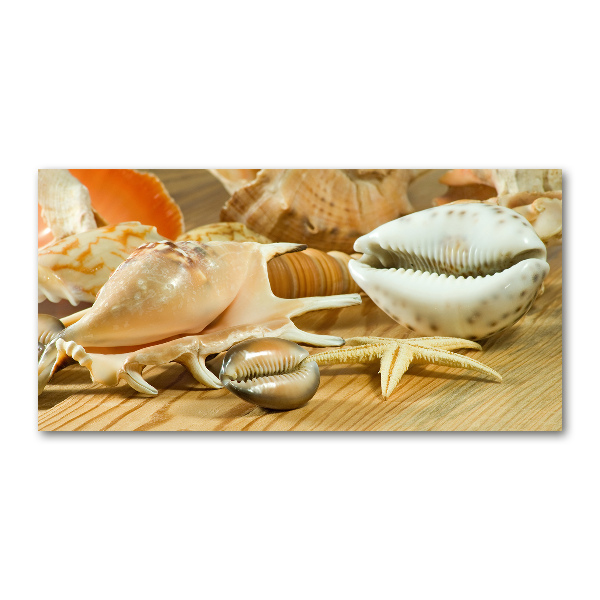 Schilderij op glas Schelpen op hout