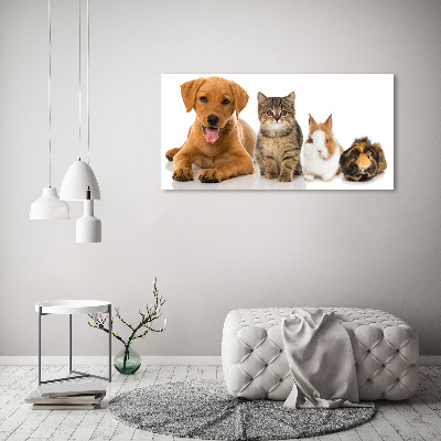 Glazen schilderij Hond en kat