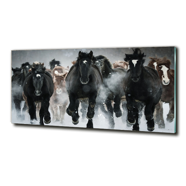 Foto schilderij op glas Paarden in galop