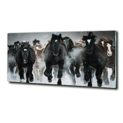 Foto schilderij op glas Paarden in galop