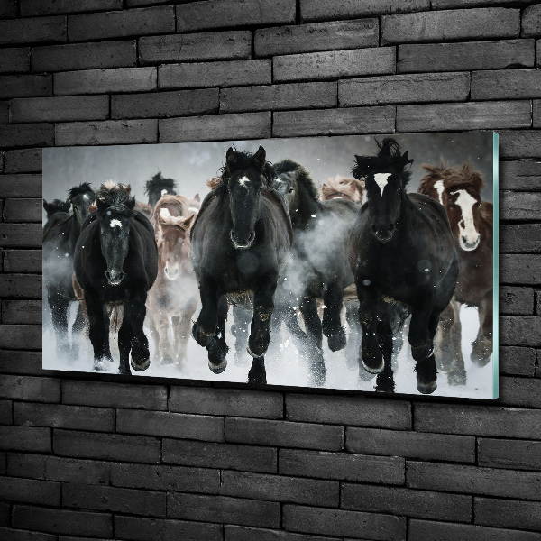Foto schilderij op glas Paarden in galop