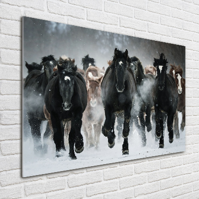 Foto schilderij op glas Paarden in galop