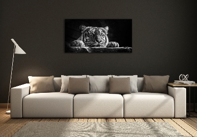 Foto-obraz zdjęcie szkło hartowane Tygrys