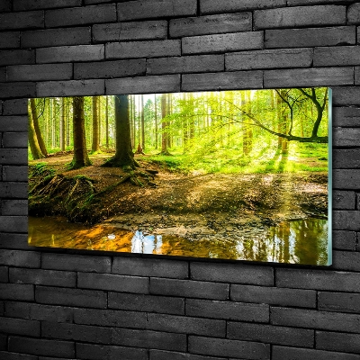 Glazen schilderij Zonnestralen in het bos