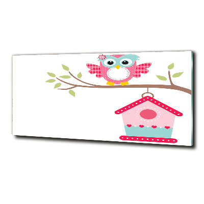 Schilderij op glas Uil op een tak