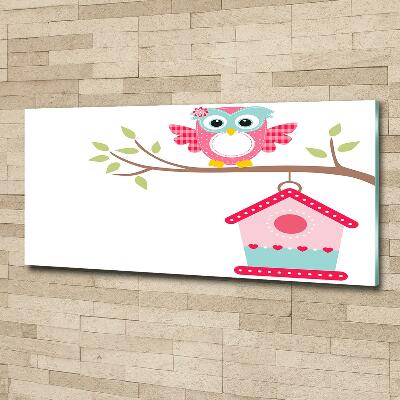 Schilderij op glas Uil op een tak