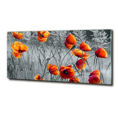 Schilderij op glas Klaprozen