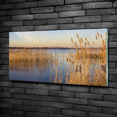 Schilderij op glas Waterriet