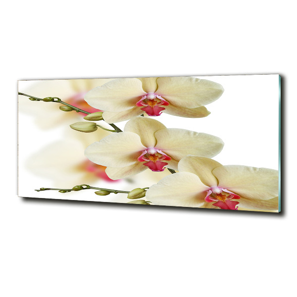 Foto schilderij op glas Orchidee