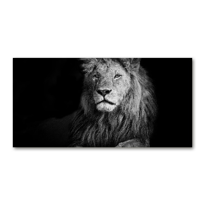 Foto schilderij op glas Leeuw