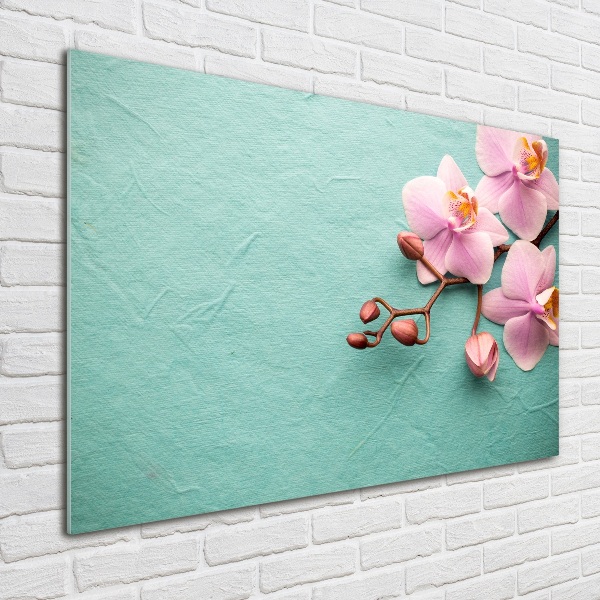 Schilderij glas Orchidee