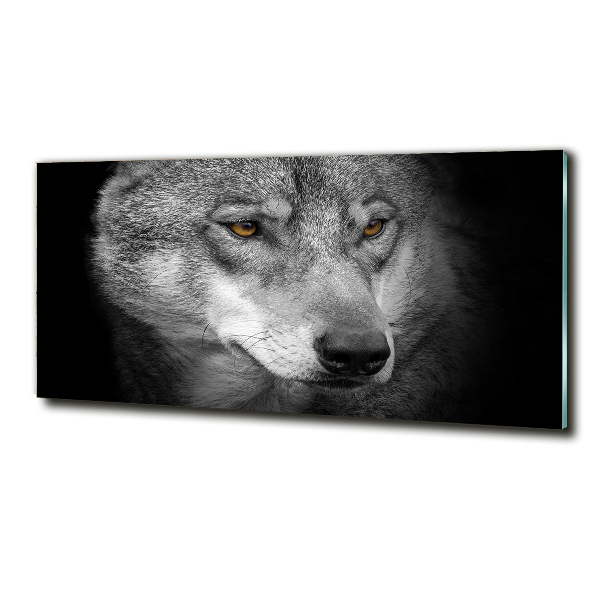 Schilderij op glas Wolf