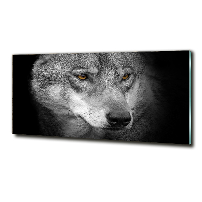 Schilderij op glas Wolf