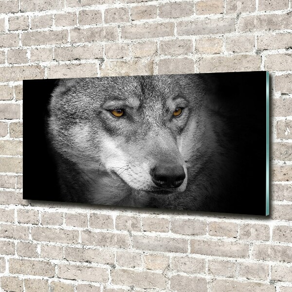 Schilderij op glas Wolf