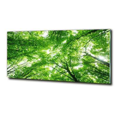 Schilderij op glas Groen bos