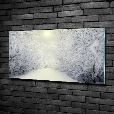 Schilderij glas Prachtig bos in de winter