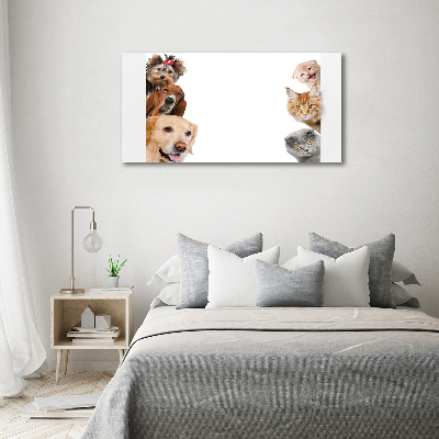 Schilderij glas Honden en katten