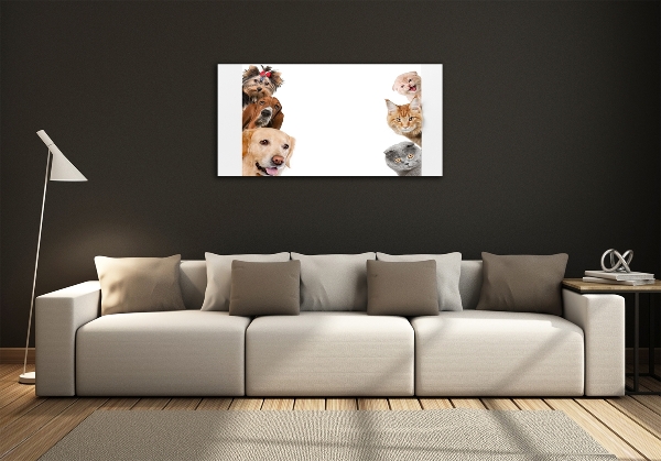 Schilderij glas Honden en katten