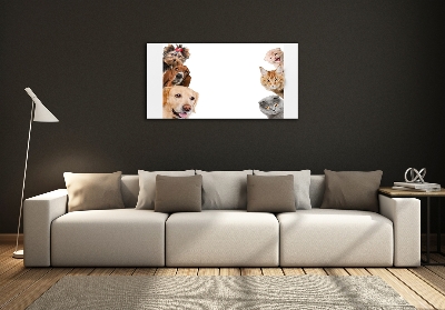 Schilderij glas Honden en katten