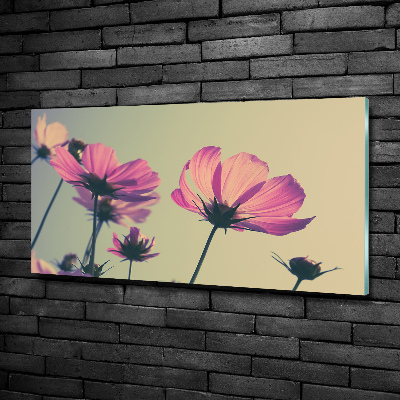 Schilderij glas Roze bloemen