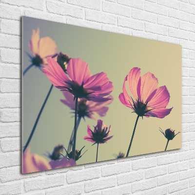 Schilderij glas Roze bloemen