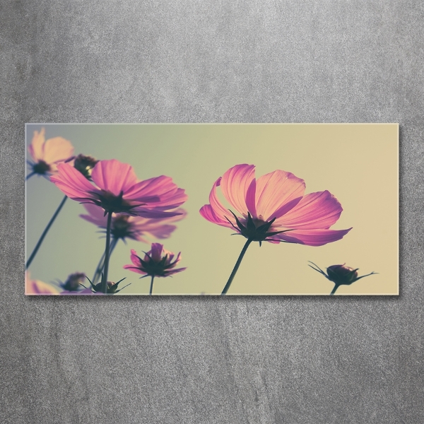Schilderij glas Roze bloemen