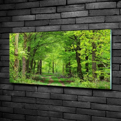 Schilderij glas Lentebos
