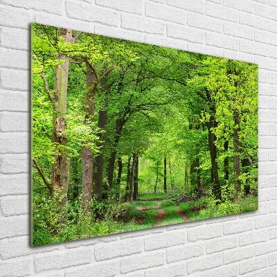 Schilderij glas Lentebos