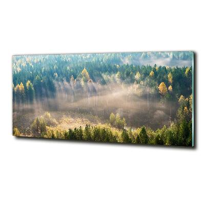 Schilderij op glas Mist in het bos
