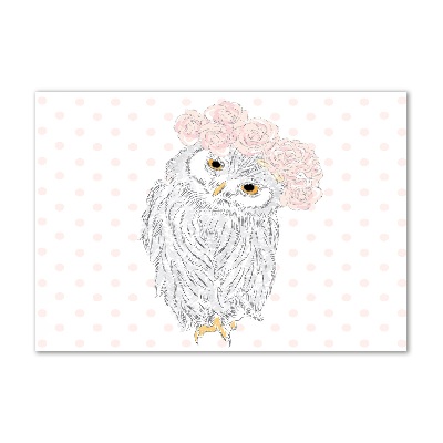 Foto-obraz szkło hartowane Sowa w wianku