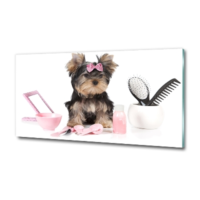 Foto schilderij op glas Yorkshire cosmetica