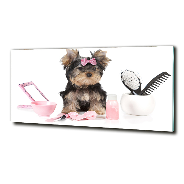 Foto schilderij op glas Yorkshire cosmetica