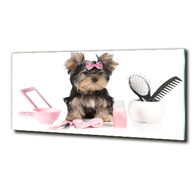 Foto schilderij op glas Yorkshire cosmetica