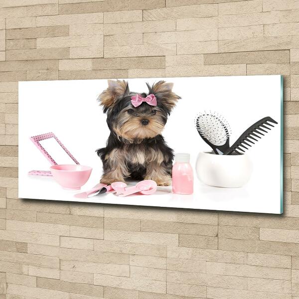 Foto schilderij op glas Yorkshire cosmetica