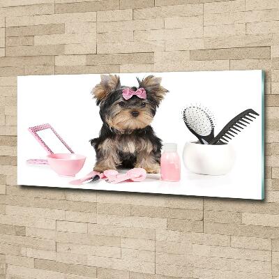 Foto schilderij op glas Yorkshire cosmetica