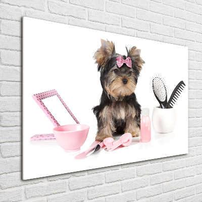 Foto schilderij op glas Yorkshire cosmetica