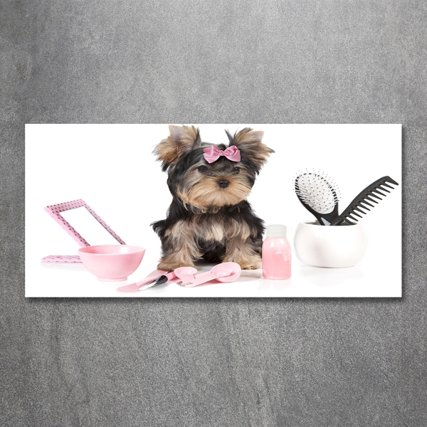 Foto schilderij op glas Yorkshire cosmetica