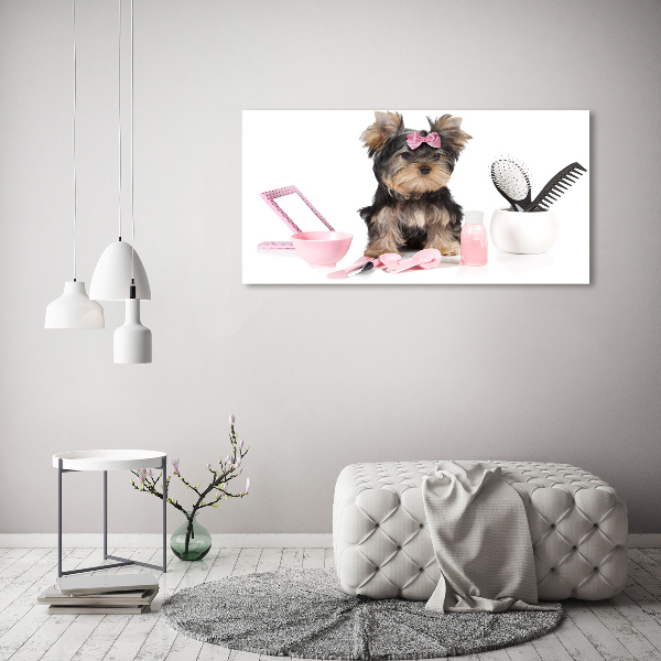 Foto schilderij op glas Yorkshire cosmetica