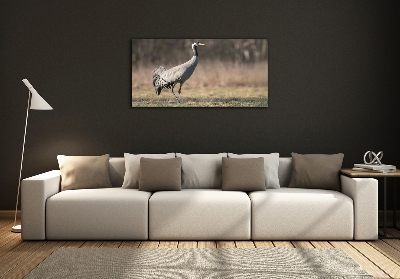 Schilderij op glas Reiger
