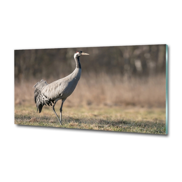 Schilderij op glas Reiger