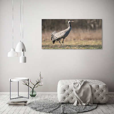 Schilderij op glas Reiger