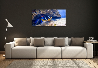 Schilderij glas Tropische vissen