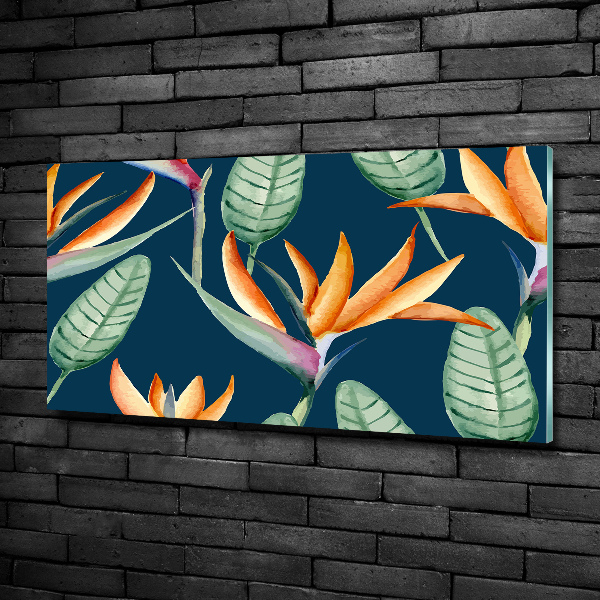 Schilderij op glas Strelitzia reginae