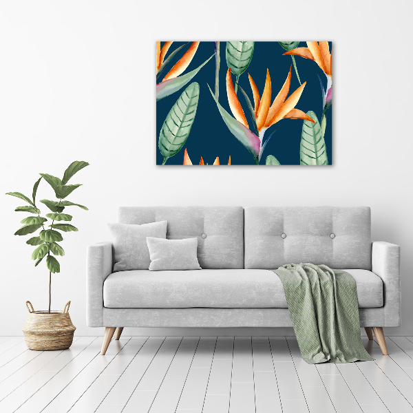 Schilderij op glas Strelitzia reginae