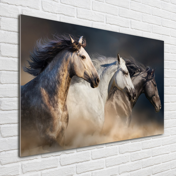 Foto schilderij op glas Paarden in galop