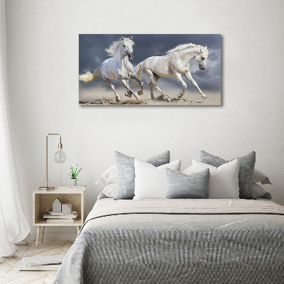 Schilderij op glas Witte paardenstrand