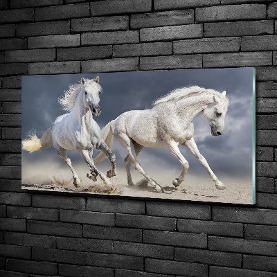 Schilderij op glas Witte paardenstrand