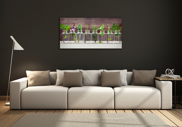 Foto obraz szklany Rośliny w słoikach